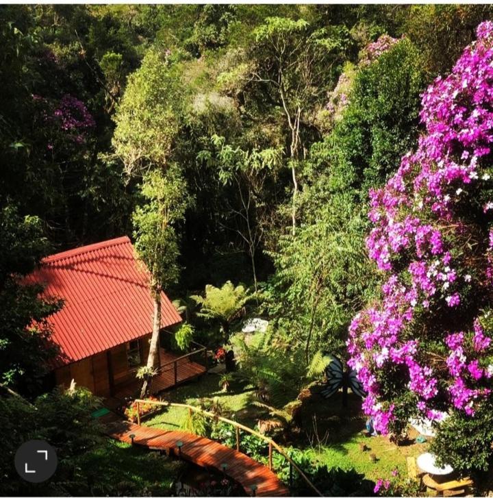 Chale Samambaia Villa Campos do Jordão Exterior foto